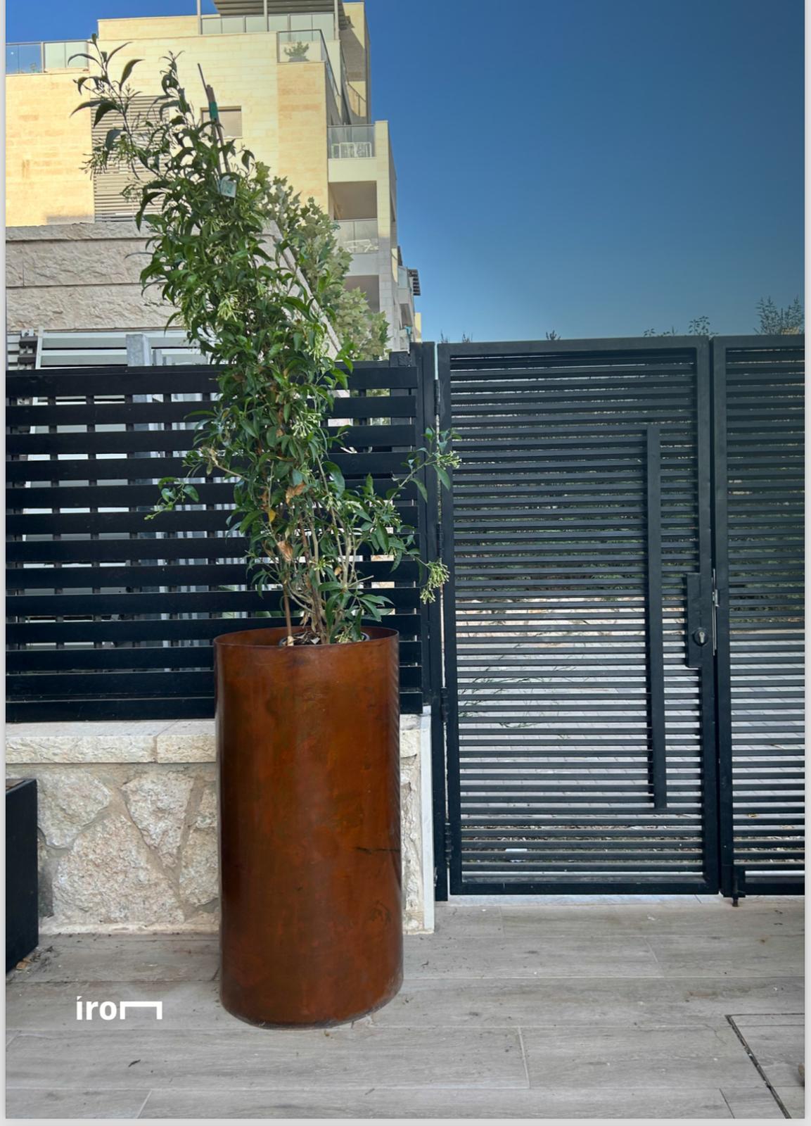 אדנית